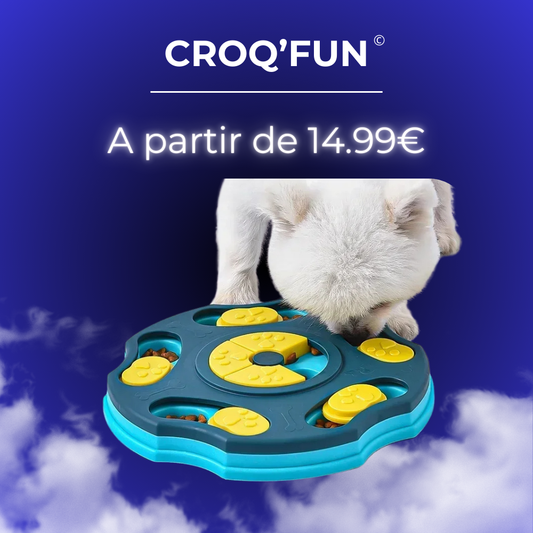 Gamelle Puzzle & Anti Glouton - Croq'Fun