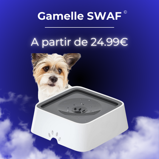 Gamelle Swaf - Fini les sols trempés !