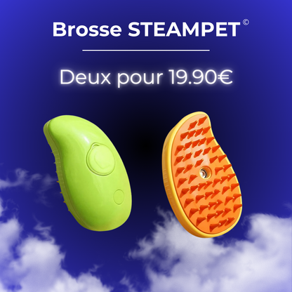 SteamPet - La brosse vapeur