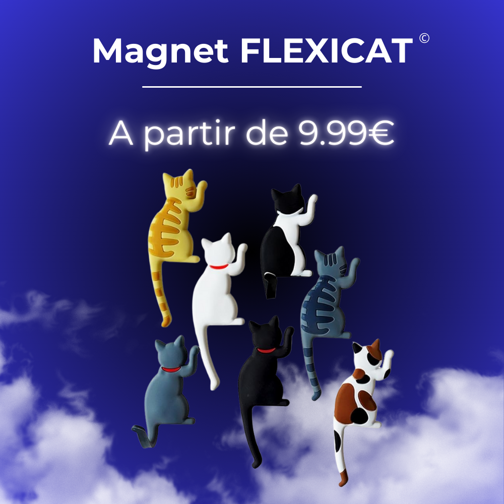 FlexiCat - Cute Cat Magnets 🐱