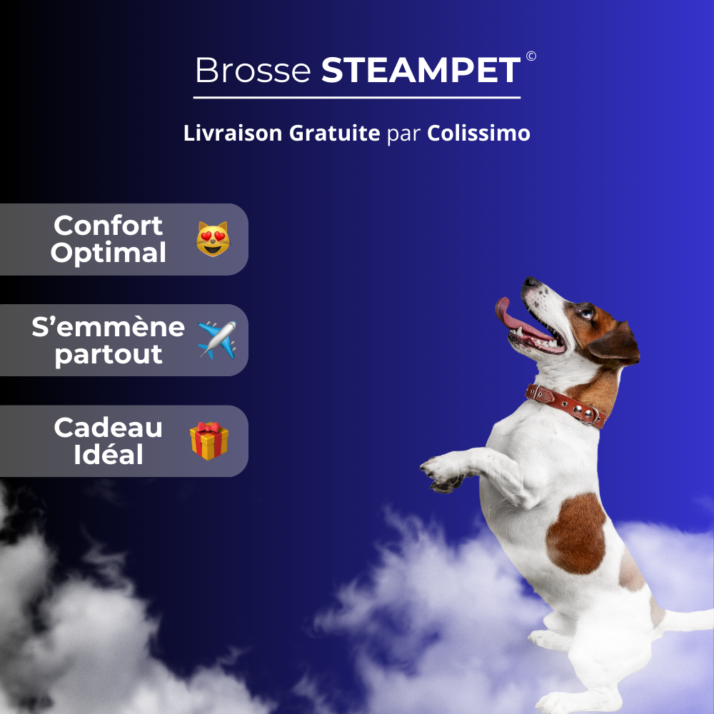 SteamPet - La brosse vapeur