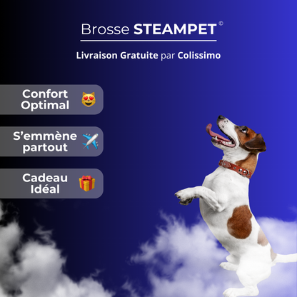 SteamPet - La brosse vapeur