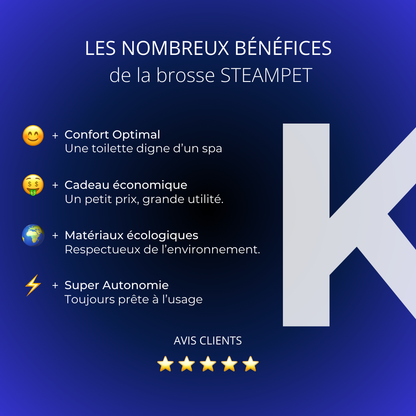 SteamPet - La brosse vapeur