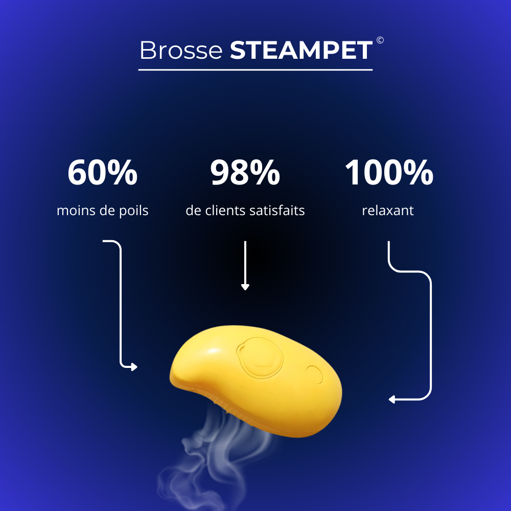 SteamPet - La brosse vapeur