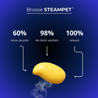 SteamPet - La brosse vapeur