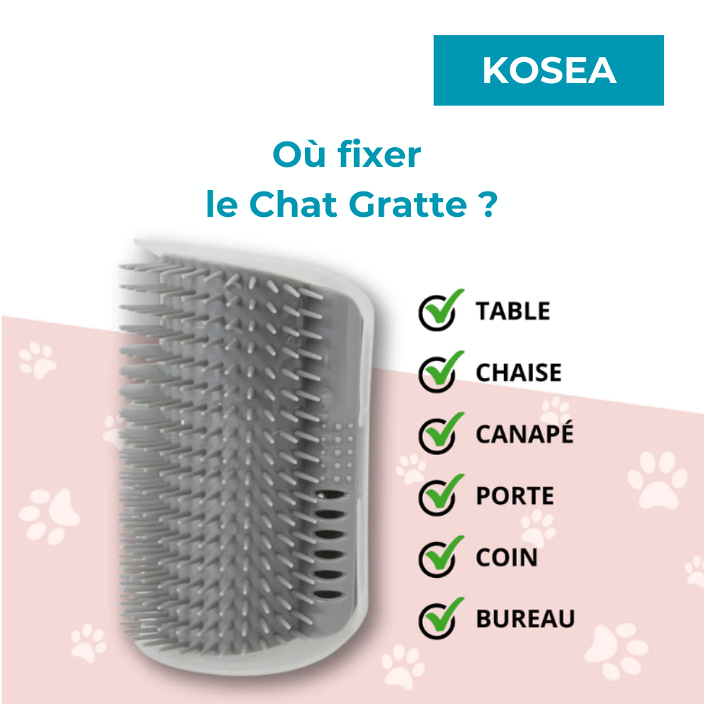 Le Chat Gratte - Brosse Massage d'angle