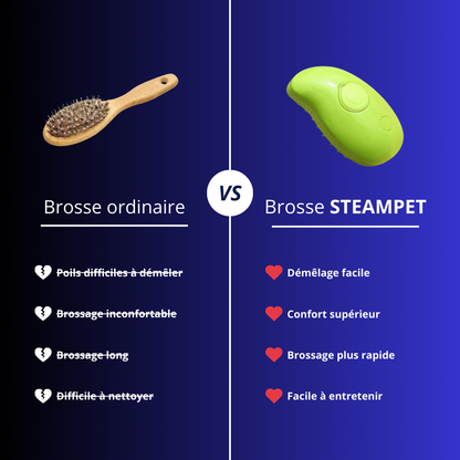 SteamPet - La brosse vapeur