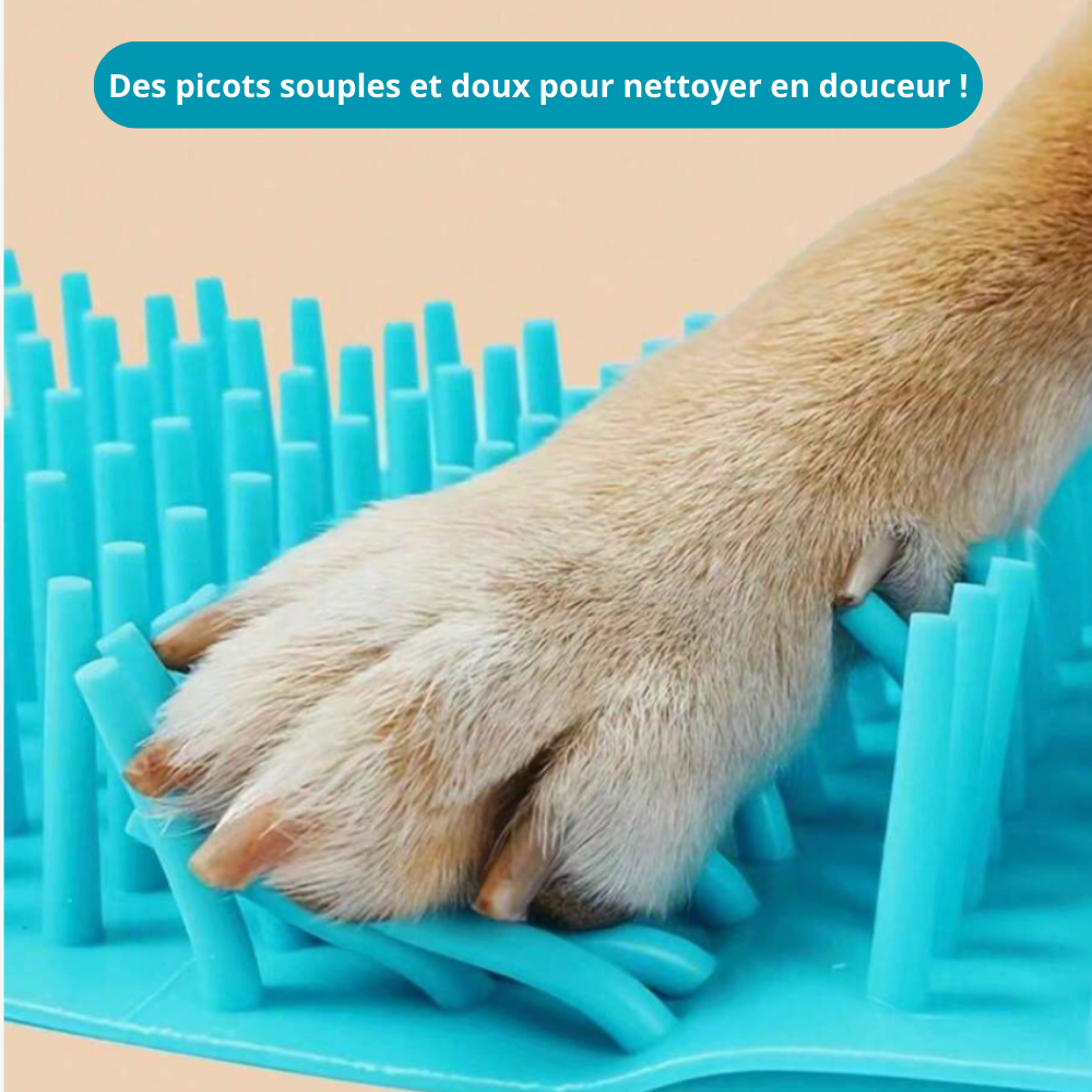 Patounet, the dog paw cleaner